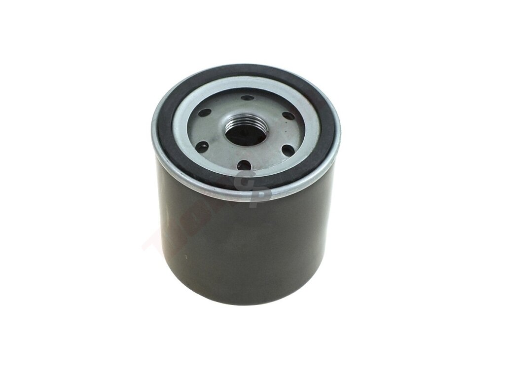 Alyvos filtras tinkanits BRIGGS & STRATTON D76xH87 3/4"-16UNF ( 491056 , 807894 ) 008669 Alyvos filtras tinkanits BRIGGS & STRATTON D76xH87 3/4"-16UNF ( 491056 , 807894 ) 008669