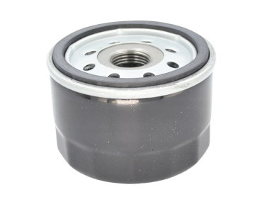 Alyvos filtras tinkanits Briggs&Stratton 10-27HP 009939
