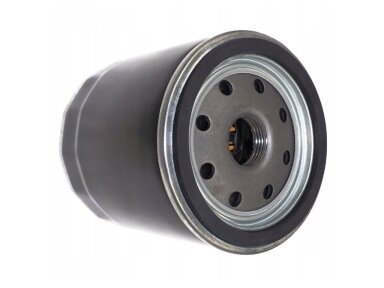 Alyvos filtras tinkanits Briggs&Stratton 800 009937