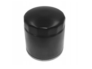 Alyvos filtras tinkanits Briggs&Stratton 800 009937