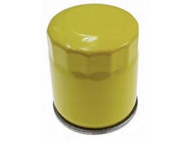 Alyvos filtras tinkanits Briggs&Stratton 800E, 850EX, 875EX 009936