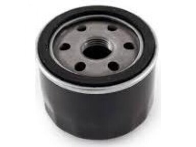 Alyvos filtras tinkanits Zongshen Mtd Loncin 005150