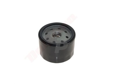 Alyvos filtras tinkanits BRIGGS & STRATTON D76xH61 3/4"-16UNF ( 492932S, 492056 ) 008668 Alyvos filtras tinkanits BRIGGS & STRATTON D76xH61 3/4"-16UNF ( 492932S, 492056 ) 008668