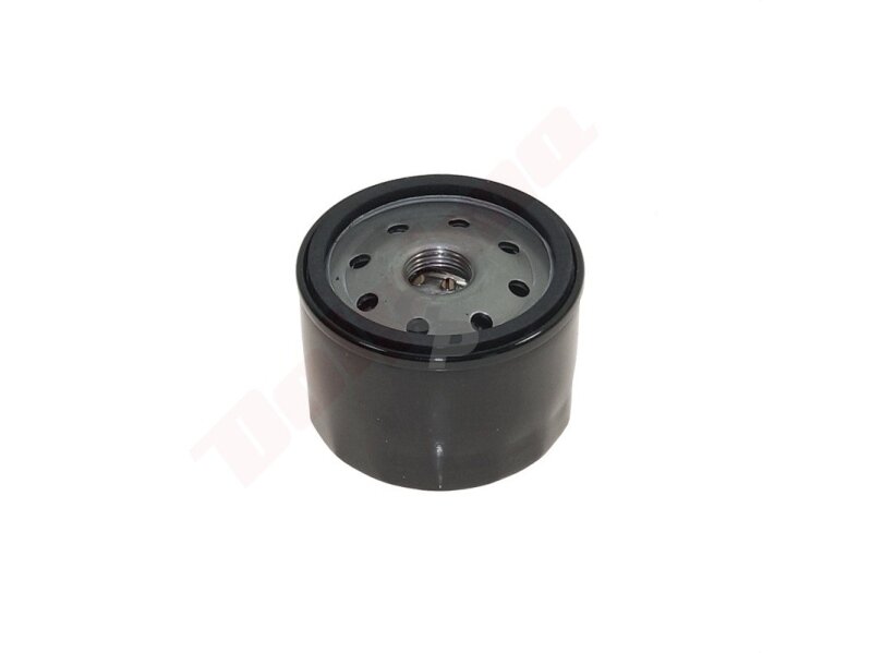 Alyvos filtras tinkanits BRIGGS & STRATTON D76xH61 3/4"-16UNF ( 492932S, 492056 ) 008668