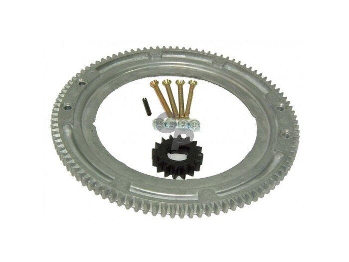 Briggs&Stratton smagračio žiedas 100 dantų 010095