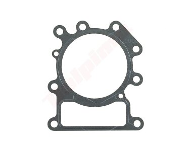 Cilindro galvutės tarpinė tinkanti BRIGGS & STRATTON ( 794114 ) 009575 Cilindro galvutės tarpinė tinkanti BRIGGS & STRATTON ( 794114 ) 009575