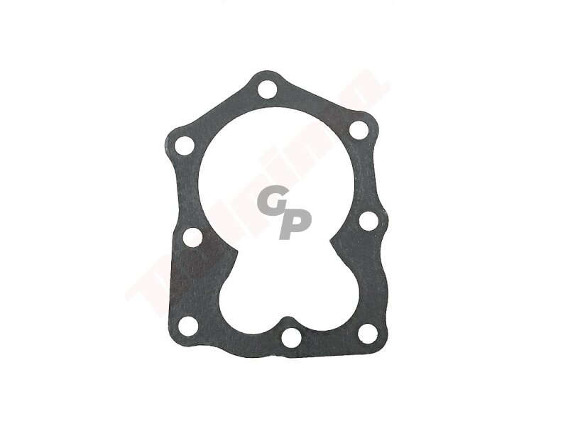 Cilindro galvutės tarpinė tinkanti BRIGGS & STRATTON QUANTUM ( 272916 , 692249 ) 009579