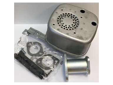 Duslintuvas briggs&stratton avs 10km-19km 009847