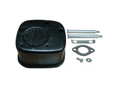 Duslintuvas briggs&stratton varikliai su vertikaliais ir horizontaliais velenais 1 cilindras 009848