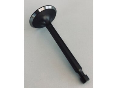 Įsiurbimo vožtuvas zongshen xp200 005444