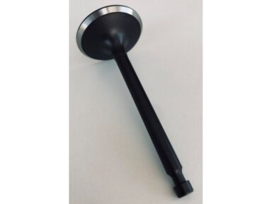 Įsiurbimo vožtuvas zongshen xp420 005445