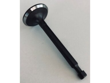 Išmetimo vožtuvas zongshen xp200 005446