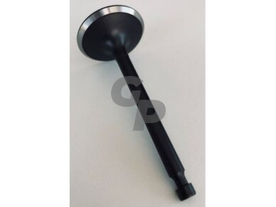 Įsiurbimo vožtuvas zongshen xp420 005445 Įsiurbimo vožtuvas zongshen xp420 005445