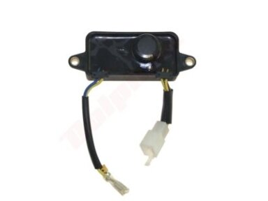 Įtampos reguliatorius tinkanits P1 250V 220uF 000451