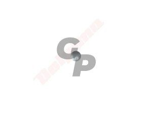 Karbiuratoriaus kištukas tinkanits WALBRO 4,80 mm WJ ( 88-115 ) 002768 Karbiuratoriaus kištukas tinkanits WALBRO 4,80 mm WJ ( 88-115 ) 002768