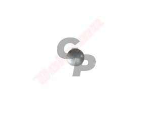 Karbiuratoriaus kištukas tinkanits WALBRO 7,95 mm WA , WT , WTA , WG , HDA ( 88-171 ) 002771