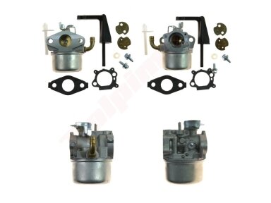 Karbiuratorius tinkanits BRIGGS & STRATTON ( 591299 , 698474 , 791991 , 798650 ) 008929