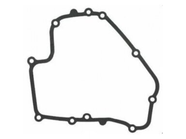 Karterio tarpine briggs&stratton dov 793445 010184