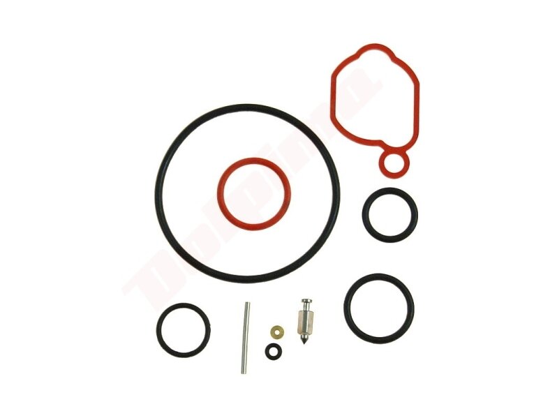 Karbiuratoriaus remontinis komplektas tinkanits BRIGGS & STRATTON ( 590589 ) 009148