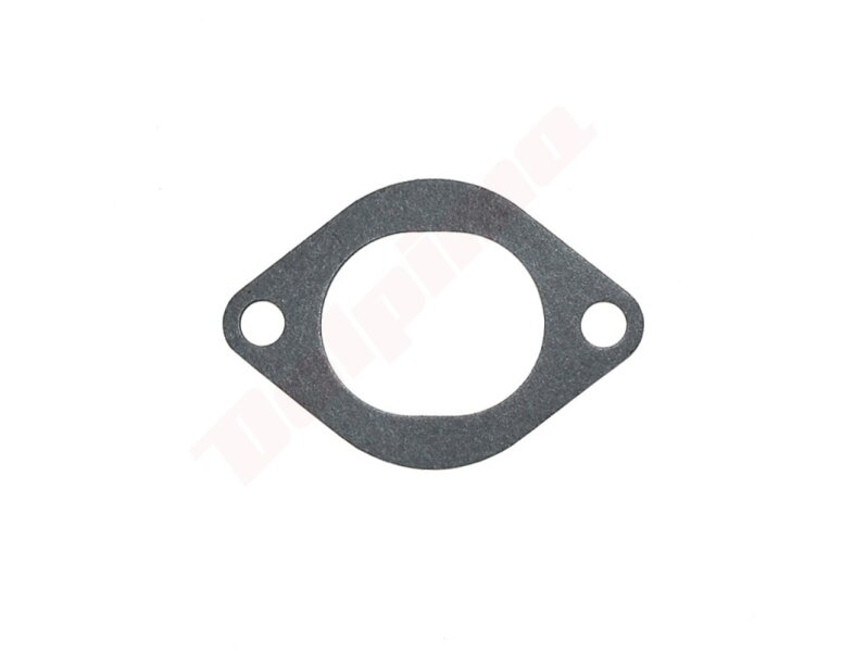 Karbiuratoriaus tarpinė tinkanti BRIGGS & STRATTON ( 694874 ) 009101