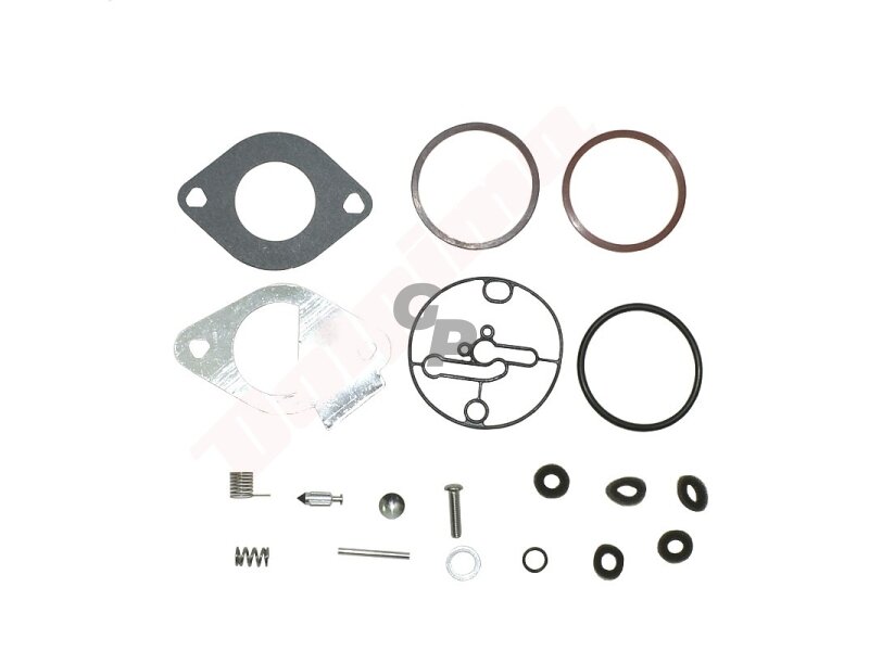 Karbiuratoriaus remontinis komplektas tinkanits BRIGGS & STRATTON ( 796184 ) 009154