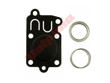 Membrana tinkanti BRIGGS&STRATTON ( 5021H ) 009261