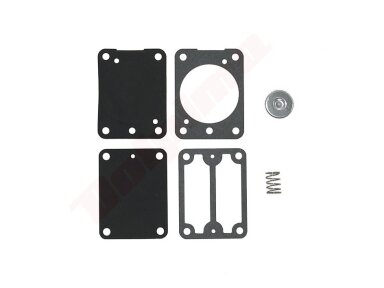 Membrana tinkanti BRIGGS&STRATTON ( 693502 ) 009262
