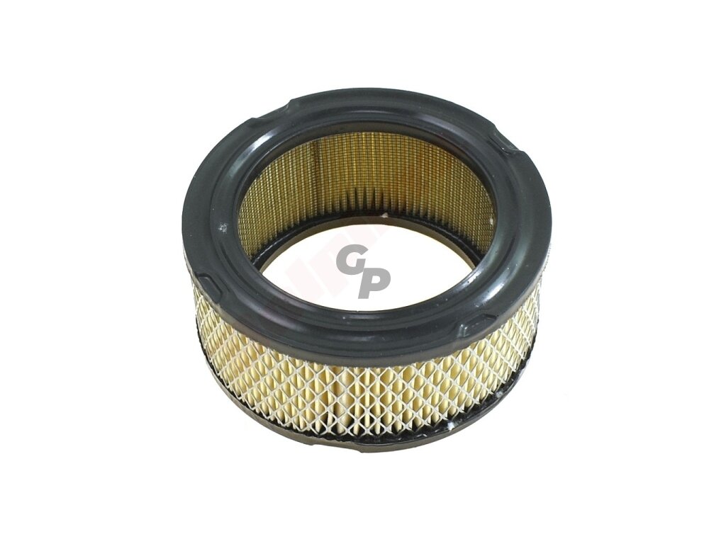 Oro filtras tinkanits BRIGGS & STRATTON 10-12AG 129x91,5x59 008724
