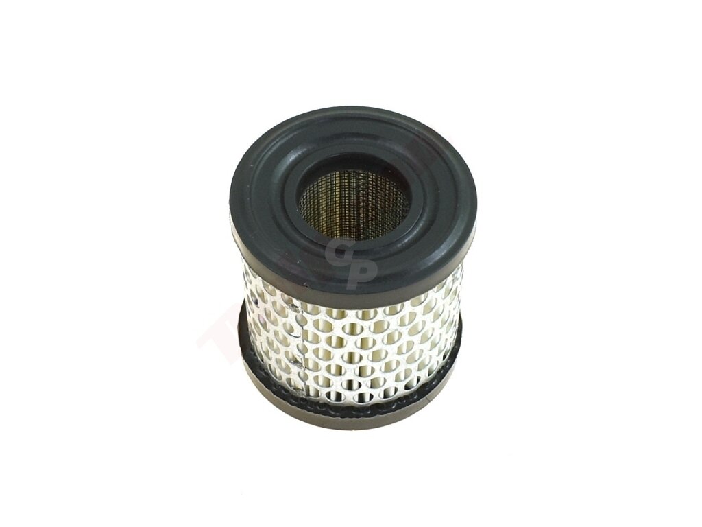 Oro filtras tinkanits BRIGGS & STRATTON 2-5AG 69x33x70 008729 Oro filtras tinkanits BRIGGS & STRATTON 2-5AG 69x33x70 008729