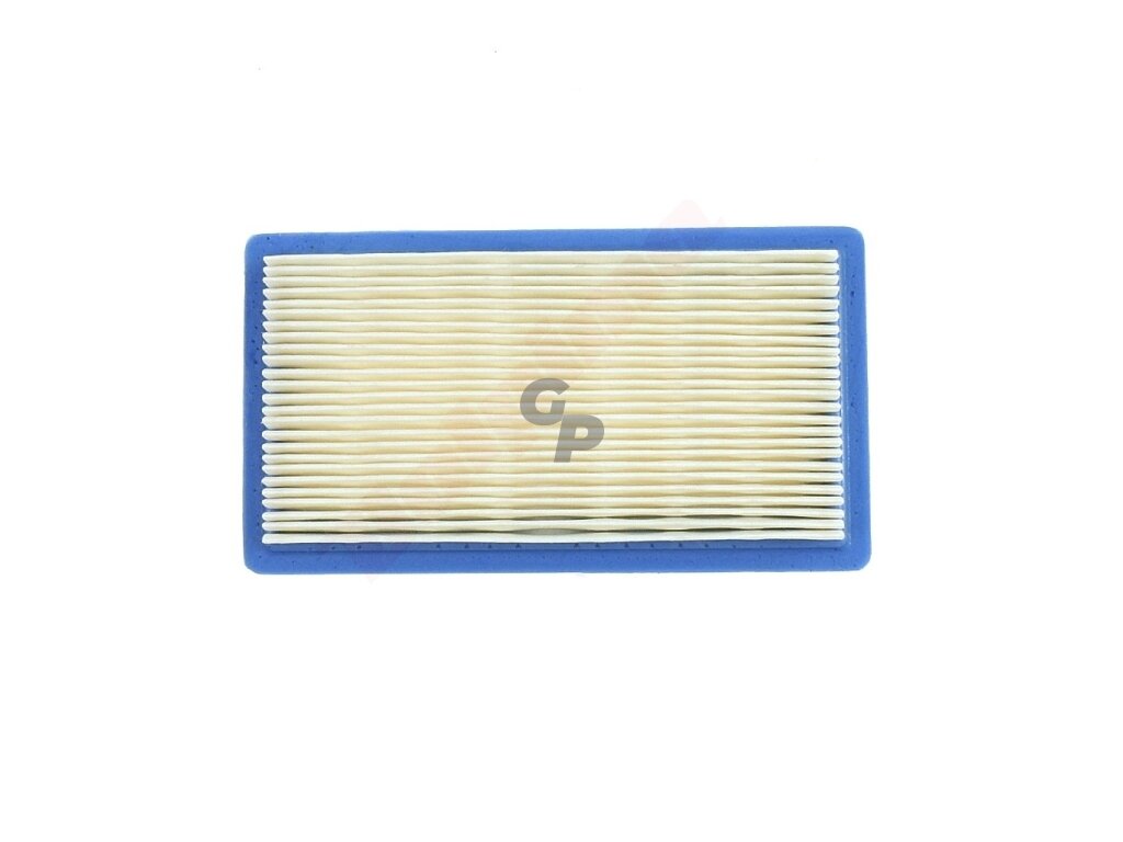 Oro filtras tinkanits BRIGGS&STRATTON VANGUARD 4AG 160x89x25 008761