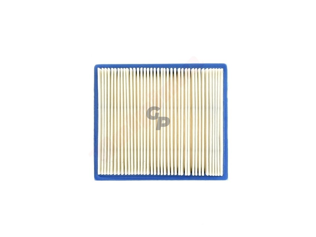 Oro filtras tinkanits BRIGGS&STRATTON 133x116x31 008766