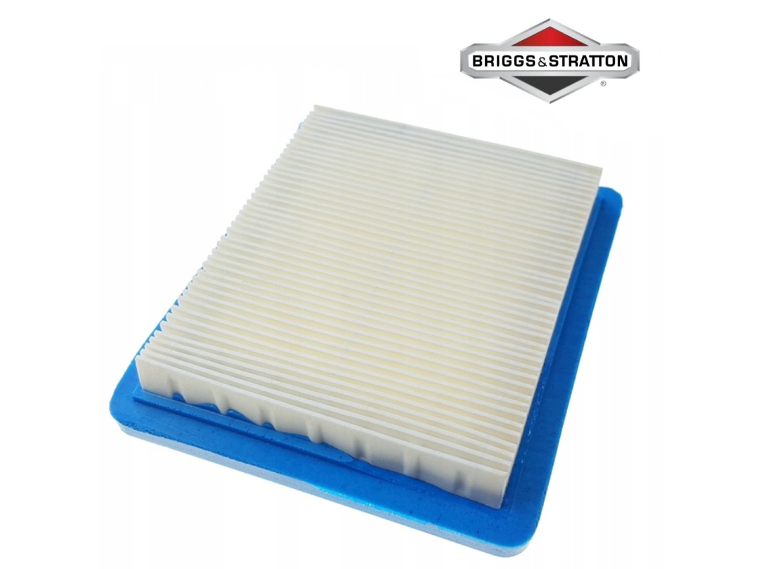 Oro filtras Briggs&Stratton quantum 009887