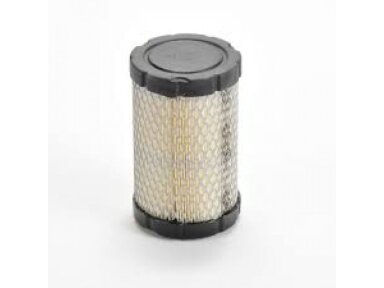 Oro filtras briggs&stratton 1 valec 15km-19km naujo modelio 009867