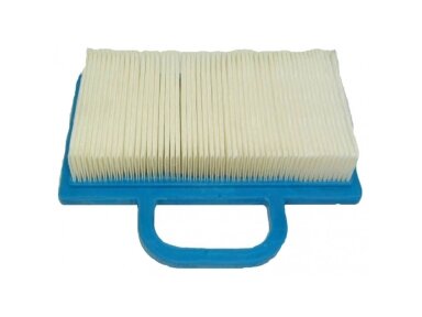 Oro filtras briggs&stratton 009864
