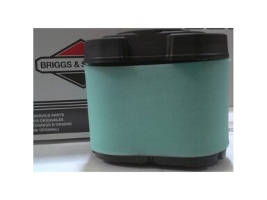 Oro filtras briggs&stratton 2 volai ohv NEW 009873