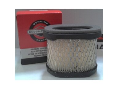 Oro filtras briggs&stratton intek 5km-6km 009880 Oro filtras briggs&stratton intek 5km-6km 009880