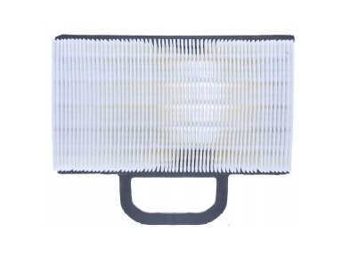 Oro filtras briggs&stratton naujo modelio 009886