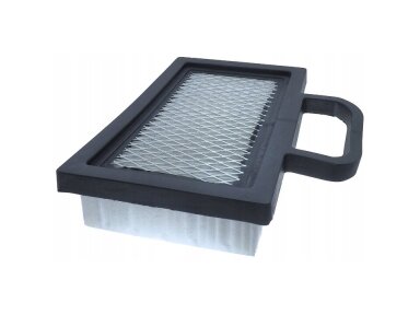 Oro filtras briggs&stratton naujo modelio 009886