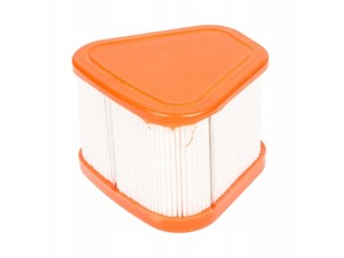Oro filtras Briggs&Stratton serija 850 009891 Oro filtras Briggs&Stratton serija 850 009891