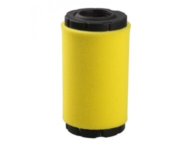 Oro filtras briggs&stratton 009863
