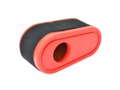 Oro filtras tinkantis Loncin 224cc 005112