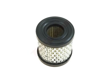 Oro filtras tinkanits BRIGGS & STRATTON 2-5AG 69x33x70 008729 Oro filtras tinkanits BRIGGS & STRATTON 2-5AG 69x33x70 008729