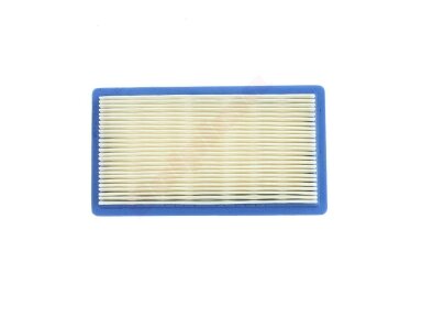 Oro filtras tinkanits BRIGGS&STRATTON VANGUARD 4AG 160x89x25 008761 Oro filtras tinkanits BRIGGS&STRATTON VANGUARD 4AG 160x89x25 008761