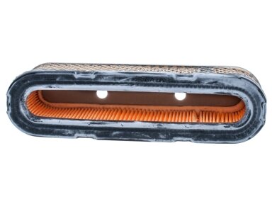 Oro filtras tinkantis Tecumseh 12PS Vertica 203x51x59 mm 012675