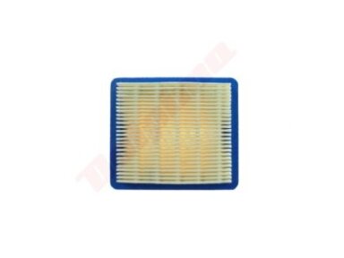 Oro filtras tinkanits TECUMSEH ( 36046 , 36044 , 740061 ) 000777 Oro filtras tinkanits TECUMSEH ( 36046 , 36044 , 740061 ) 000777