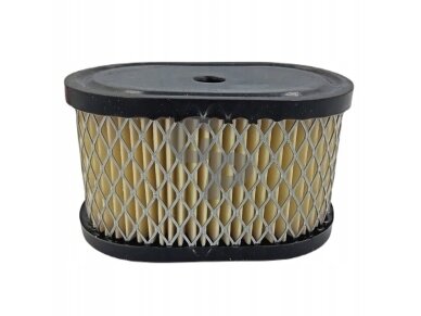 Oro filtras briggs&stratton quantum mažas 009890