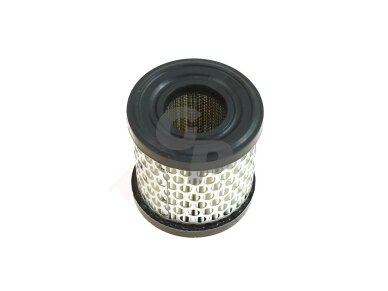 Oro filtras tinkanits BRIGGS & STRATTON 2-5AG 69x33x70 008729 Oro filtras tinkanits BRIGGS & STRATTON 2-5AG 69x33x70 008729
