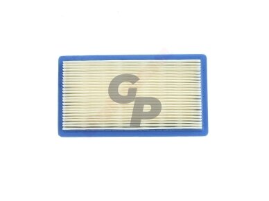 Oro filtras tinkanits BRIGGS&STRATTON VANGUARD 4AG 160x89x25 008761 Oro filtras tinkanits BRIGGS&STRATTON VANGUARD 4AG 160x89x25 008761