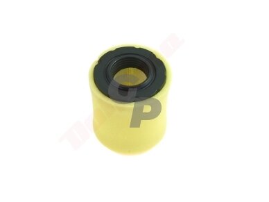 Oro filtras tinkanits BRIGGS&STRATTON 10-14.5AG 101x75X36 kompl. 008776 Oro filtras tinkanits BRIGGS&STRATTON 10-14.5AG 101x75X36 kompl. 008776