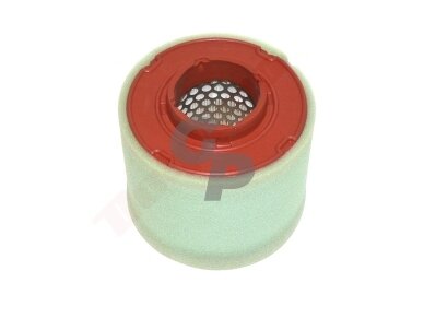 Oro filtras tinkantis BRIGGS & STRATTON ( 844179 , 845090 ) Oro filtras tinkantis BRIGGS & STRATTON ( 844179 , 845090 )